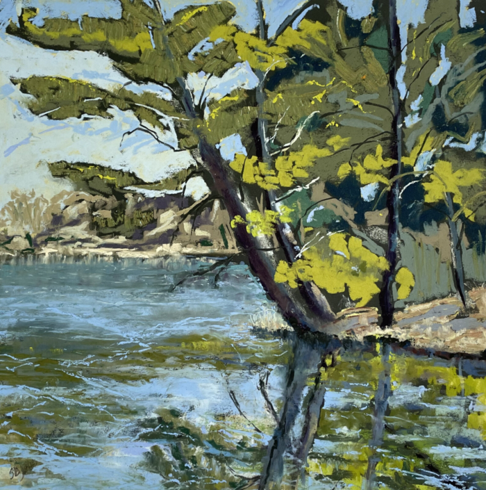 Drawing of tree branches with a river in the background